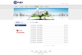 北京網站建設 原創先鋒，案例引領未來